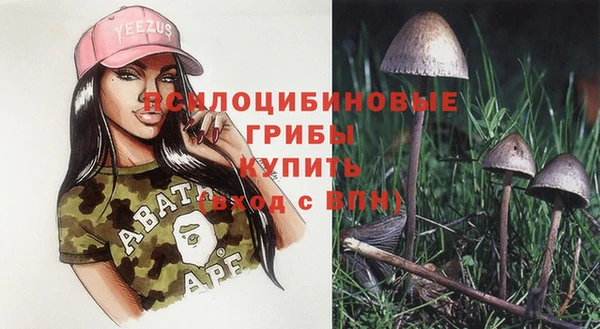 дмт Алексеевка