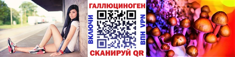 Галлюциногенные грибы прущие грибы как найти наркотики Нижнеудинск
